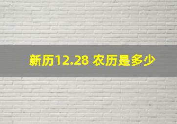 新历12.28 农历是多少